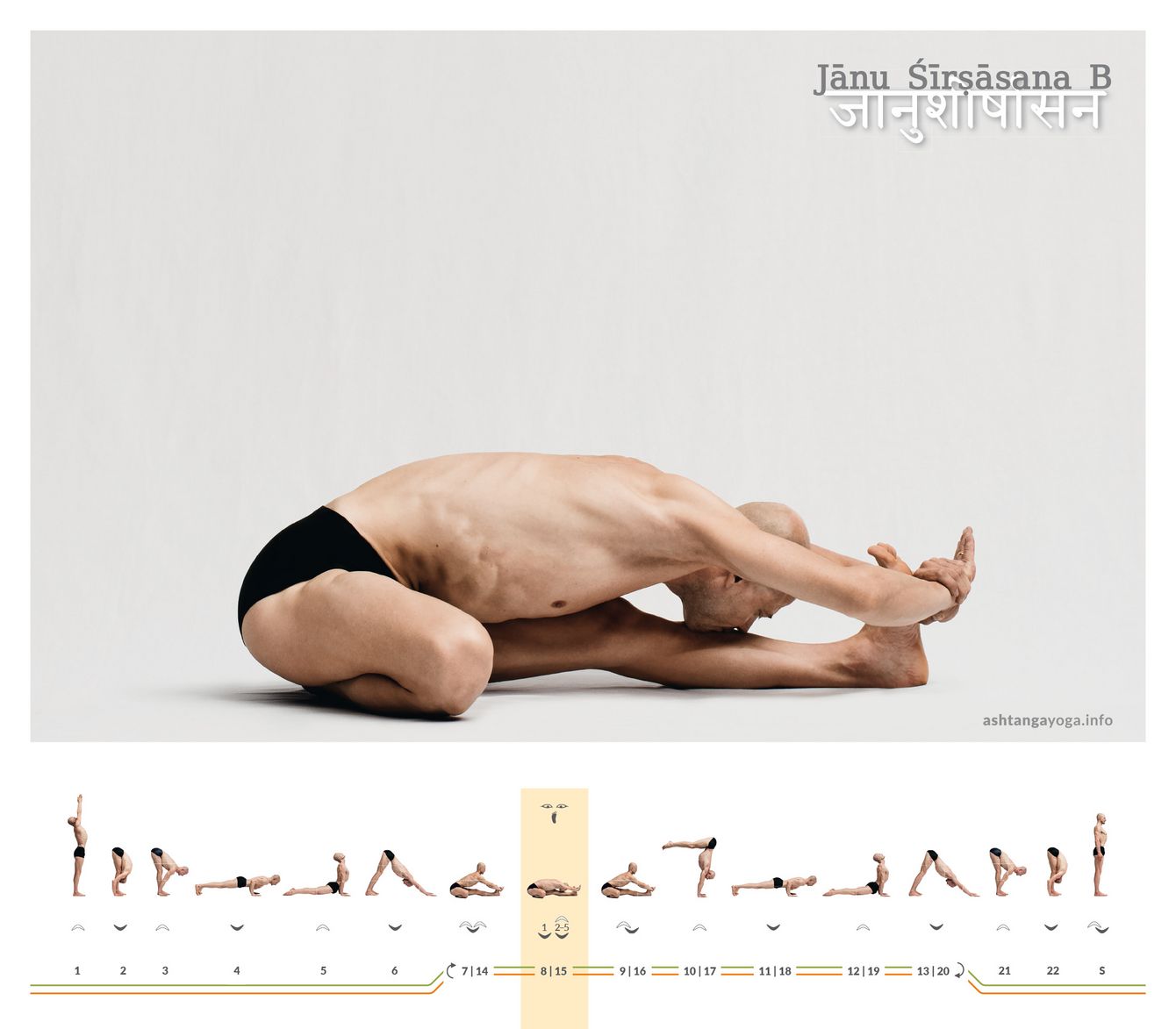 In the second variant of the “Head and Knee pose” the practitioner sets the perineum directly on the heel of the bent leg. This same foot points straight ahead under the thigh of the bent leg - Janu Shirshasana B.